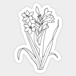 White gladiolus Sticker